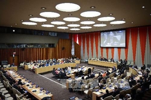 Vietnam elected to UN Economic and Social Council - ảnh 1